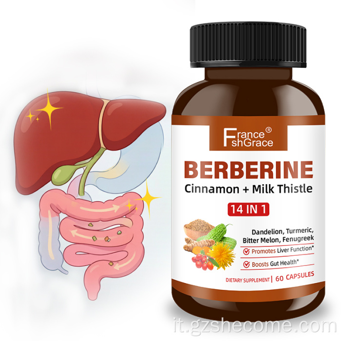 Le capsule di berberina Shecome supportano il fegato e la salute dell'intestino